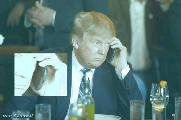 دونالد ترامپ 