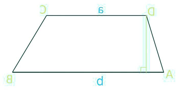 محیط و مساحت ذوزنقه
