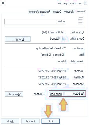 رایت پروتکت فلش