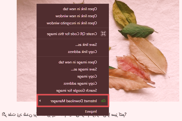 افزونه مدیریت دانلود