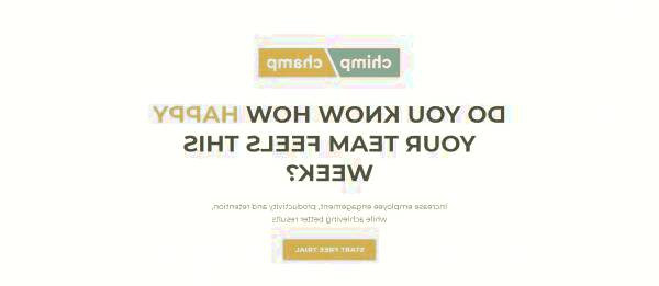 برنامه مناسب مدیریت تیم