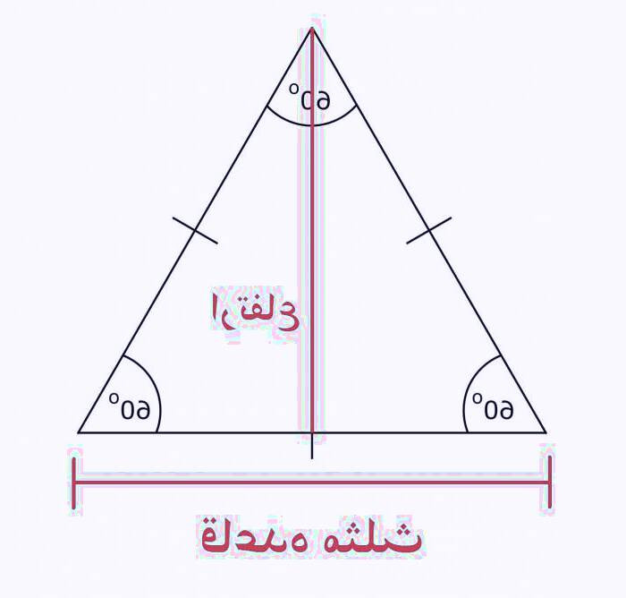محیط و مساحت مثلث