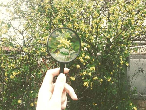 زوم در عکاسی