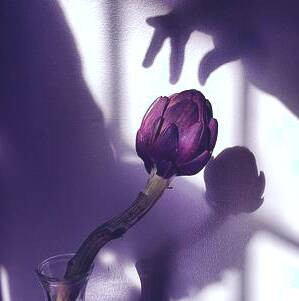 نور طبیعی در عکاسی