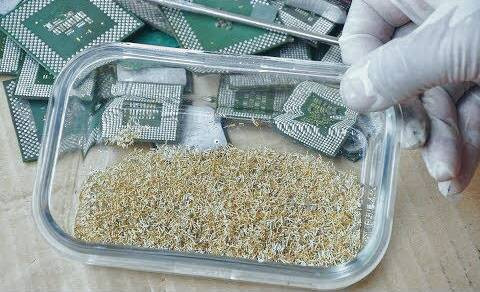 طلا در گوشی موبایل