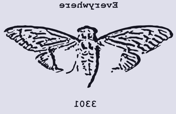 معمای اینترنتی