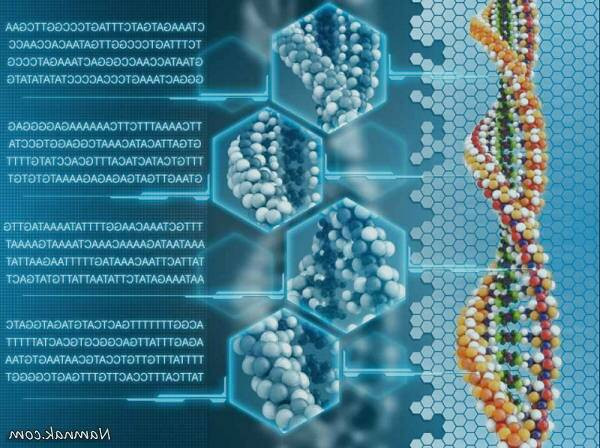 ذخیره اطلاعات روی dna