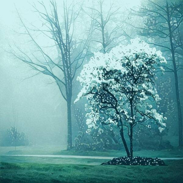 تبدیل عکس به نقاشی