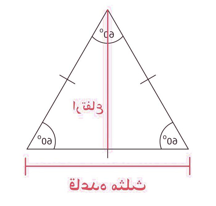 محیط و مساحت مثلث