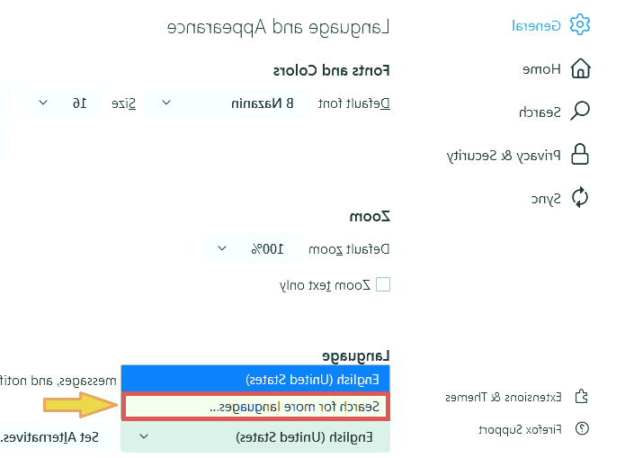 زبان فایرفاکس