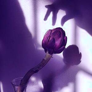 نور طبیعی در عکاسی