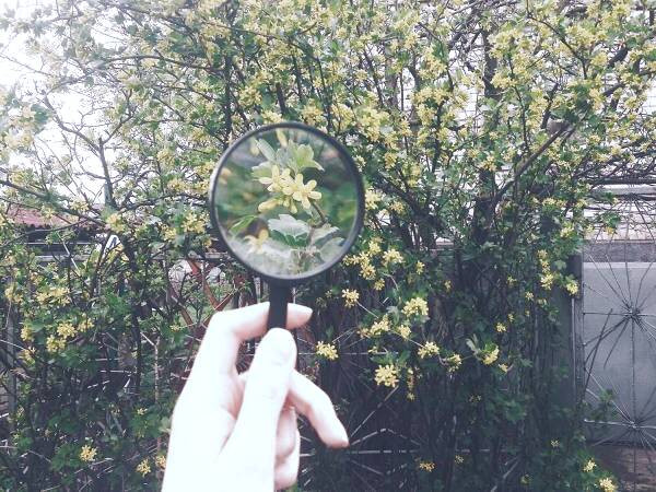 زوم در عکاسی